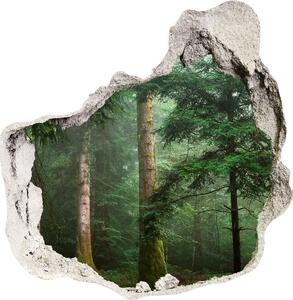 Diera 3D fototapety na stenu Hmla v lese nd-p-95330664