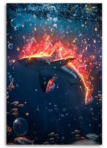 Obraz na plátne Horiaci žralok - Alex Griffith Rozmery: 40 x 60 cm