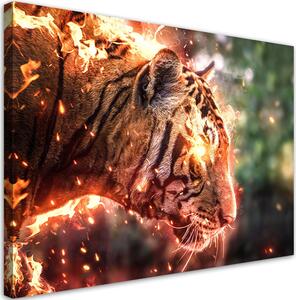 Obraz na plátne Ohnivý tiger - Alex Griffith Rozmery: 60 x 40 cm