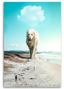 Obraz na plátne Prechádzka po pláži - Alex Griffith Rozmery: 40 x 60 cm