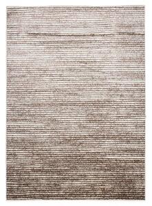 Moderný koberec v hnedých odtieňoch s tenkými pruhmi Šírka: 120 cm | Dĺžka: 170 cm