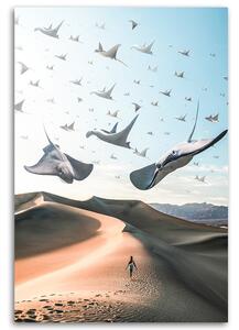 Obraz na plátne Lietajúce raje - Alex Griffith Rozmery: 40 x 60 cm