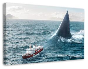 Obraz na plátne Obrovský žralok - Alex Griffith Rozmery: 60 x 40 cm