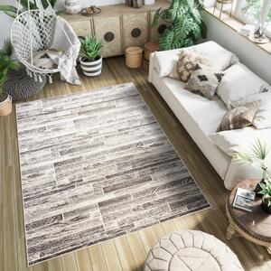 Univerzálny moderný koberec v hnedých odtieňoch Šírka: 200 cm | Dĺžka: 300 cm