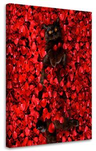 Obraz na plátne Čierna mačka a červené ruže - Galina Bugaevskaya Rozmery: 40 x 60 cm