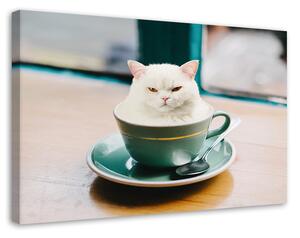 Obraz na plátne Biela mačka šálka kávy - Galina Bugaevskaya Rozmery: 60 x 40 cm