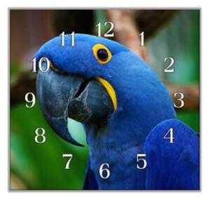 Nástenné hodiny papagáj 30x30cm LII - plexi