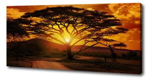 Foto obraz na plátne Západ Afrika pl-oc-125x50-f-12172283