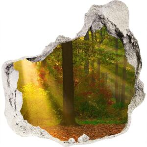 Diera 3D fototapety nálepka Forest na slnku nd-p-75879040
