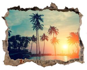 Díra 3D ve zdi nálepka Sunset palm nd-k-118937012
