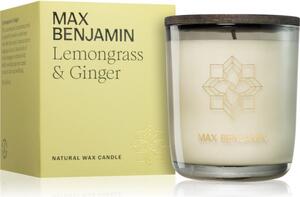 MAX Benjamin Lemongrass & Ginger vonná sviečka 210 g