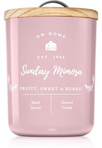 DW Home Farmhouse Sunday Mimosa vonná sviečka 434 g
