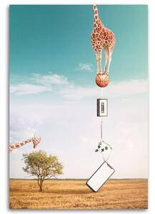 Obraz na plátne Žirafa, lopta a elektronika - Bryantama Art Rozmery: 40 x 60 cm