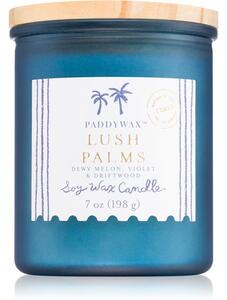 Paddywax Coastal Lush Palms vonná sviečka 198 g