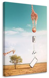Obraz na plátne Žirafa Savannah Ball Kazetový telefón Abstrakcia - Bryantama Art Rozmery: 40 x 60 cm