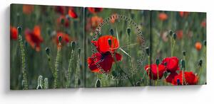 Obraz - Lúka s vlčími makmi (s hodinami) (90x30 cm)