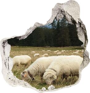 Fototapeta diera na stenu 3D Pasúce sa ovce nd-p-197671747