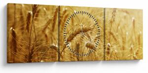 Obraz - Klasy obilia (s hodinami) (90x30 cm)