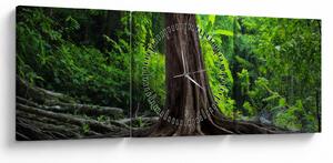 Obraz - Starý strom s koreňmi (s hodinami) (90x30 cm)
