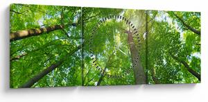 Obraz - Les (s hodinami) (90x30 cm)