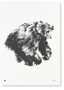 Teemu Järvi Plagát s motívom medveďa Roaring bear 50x70