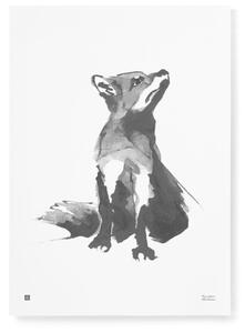 Teemu Järvi Plagát s motívom líšky Red Fox 50x70