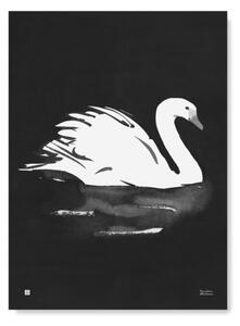 Teemu Järvi Plagát s motívom labute Swan 50x70