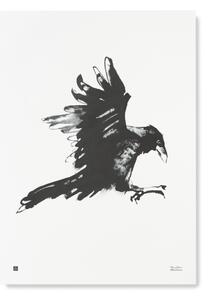 Teemu Järvi Plagát s motívom havrana Raven 50x70