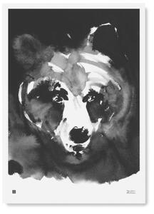 Teemu Järvi Plagát s motívom medveďa Mysterious bear 50x70