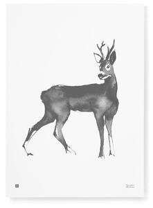 Teemu Järvi Plagát s motívom srnca Roe Deer 50x70