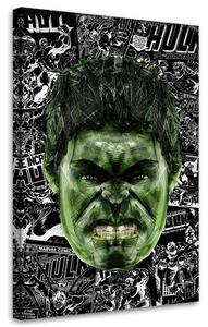 Obraz na plátne Zelený Hulk - Rubiant Rozmery: 40 x 60 cm