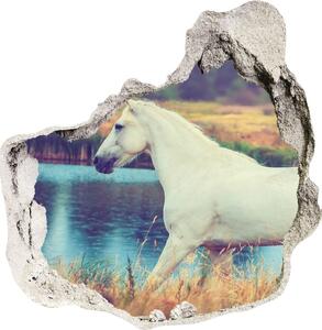 Fototapeta diera na stenu White horse lake nd-p-87150545
