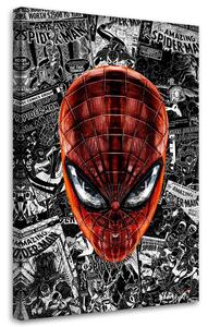 Obraz na plátne Spidermanova tvár - Rubiant Rozmery: 40 x 60 cm