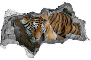 Diera 3D fototapeta nálepka Tiger na strome nd-b-4289086