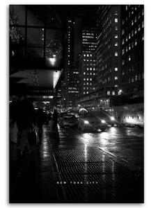 Obraz na plátne Taxíky v New Yorku - Nikita Abakumov Rozmery: 40 x 60 cm