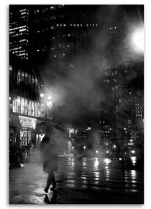 Obraz na plátne New York v hmle - Nikita Abakumov Rozmery: 40 x 60 cm