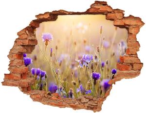 Fototapeta diera na stenu 3D Poľné kvety nd-c-70602610