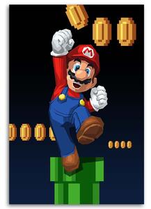 Obraz na plátne Hra Mario Bros - Nikita Abakumov Rozmery: 40 x 60 cm
