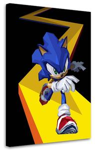Obraz na plátne Sonic - Nikita Abakumov Rozmery: 40 x 60 cm