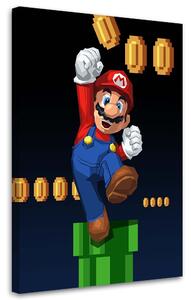 Obraz na plátne Hra Mario Bros - Nikita Abakumov Rozmery: 40 x 60 cm