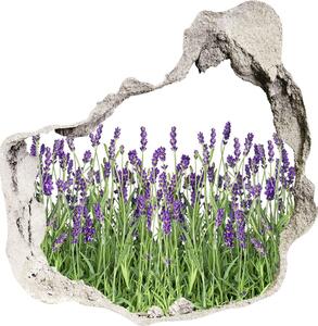 Díra 3D ve zdi nálepka Kvety levandule nd-p-107877649