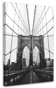 Obraz na plátne Brooklynská štruktúra - Nikita Abakumov Rozmery: 40 x 60 cm