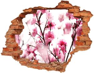 Fototapeta diera na stenu 3D Slivkový kvet nd-c-39695917