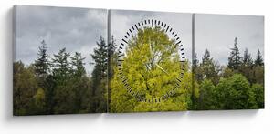 Obraz zeleného stromu uprostred poľa (s hodinami) (90x30 cm)
