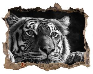 Díra 3D fototapeta nálepka Tiger nd-k-101258480