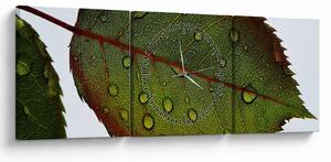 Obraz - List ruže (s hodinami) (90x30 cm)