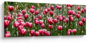 Obraz tulipánov (s hodinami) (90x30 cm)