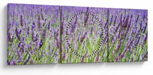 Obraz poľa s levanduľou (s hodinami) (90x30 cm)