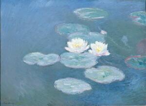 Monet, Claude - Obrazová reprodukcia Lekná, (40 x 30 cm)