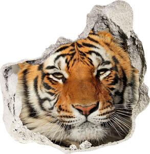 Nálepka diera na stenu Tiger bengálsky nd-p-88747131